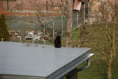 Garten 06