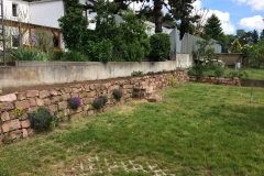 Garten9